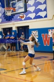 Volleyball Tuscola at West henderson_BRE_5258