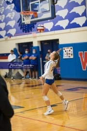 Volleyball Tuscola at West henderson_BRE_5259