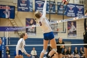Volleyball Tuscola at West henderson_BRE_5289