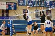 Volleyball Tuscola at West henderson_BRE_5314