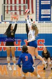 Volleyball Tuscola at West henderson_BRE_5367