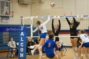 Volleyball Tuscola at West henderson_BRE_5373