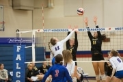 Volleyball Tuscola at West henderson_BRE_5374