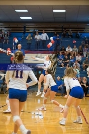 Volleyball Tuscola at West henderson_BRE_5416