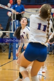 Volleyball Tuscola at West henderson_BRE_5422