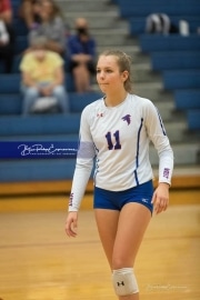 Volleyball Tuscola at West henderson_BRE_5482