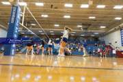 Volleyball Tuscola at West henderson_BRE_5517