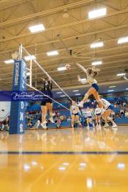 Volleyball Tuscola at West henderson_BRE_5530