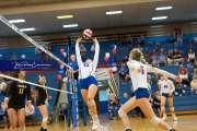 Volleyball Tuscola at West henderson_BRE_5597