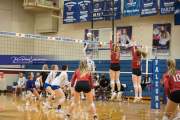 Volleyball Hendersonville at West Henderson_BRE_5823