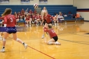 Volleyball Hendersonville at West Henderson_BRE_5870
