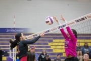 Volleyball North Henderson and Pisgah Mountain 7 Rd 2_BRE_0003