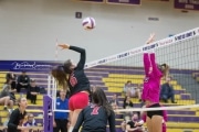Volleyball North Henderson and Pisgah Mountain 7 Rd 2_BRE_0041