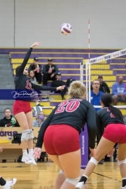 Volleyball North Henderson and Pisgah Mountain 7 Rd 2_BRE_0069