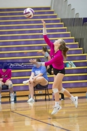 Volleyball North Henderson and Pisgah Mountain 7 Rd 2_BRE_0148