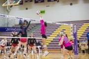 Volleyball North Henderson and Pisgah Mountain 7 Rd 2_BRE_0151