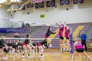 Volleyball North Henderson and Pisgah Mountain 7 Rd 2_BRE_0169