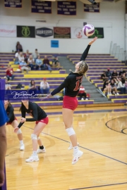 Volleyball North Henderson and Pisgah Mountain 7 Rd 2_BRE_0306