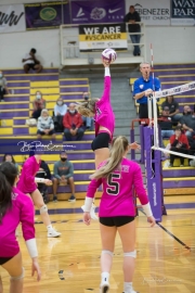 Volleyball North Henderson and Pisgah Mountain 7 Rd 2_BRE_0322