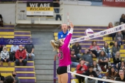 Volleyball North Henderson and Pisgah Mountain 7 Rd 2_BRE_0337