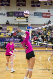 Volleyball North Henderson and Pisgah Mountain 7 Rd 2_BRE_0351