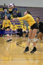 Volleyball West Henderson and Tuscola Mountain 7 Rd 2_BRE_9728