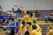 Volleyball West Henderson and Tuscola Mountain 7 Rd 2_BRE_9748