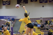 Volleyball West Henderson and Tuscola Mountain 7 Rd 2_BRE_9754