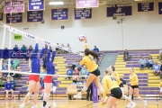 Volleyball West Henderson and Tuscola Mountain 7 Rd 2_BRE_9789