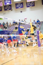 Volleyball West Henderson and Tuscola Mountain 7 Rd 2_BRE_9802