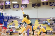 Volleyball West Henderson and Tuscola Mountain 7 Rd 2_BRE_9830