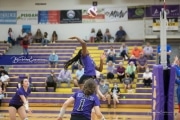 Volleyball West Henderson v North Henderson M7_BRE_0389