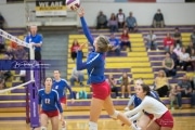 Volleyball West Henderson v North Henderson M7_BRE_0470