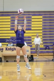 Volleyball West Henderson v North Henderson M7_BRE_0703