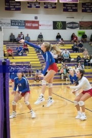 Volleyball West Henderson v North Henderson M7_BRE_0739
