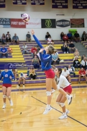 Volleyball West Henderson v North Henderson M7_BRE_0765