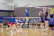 Volleyball West Henderson v North Henderson M7_BRE_0786