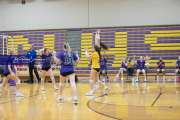 Volleyball West Henderson v North Henderson M7_BRE_0788