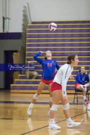 Volleyball West Henderson v North Henderson M7_BRE_0961
