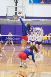 Volleyball West Henderson v North Henderson M7_BRE_1202