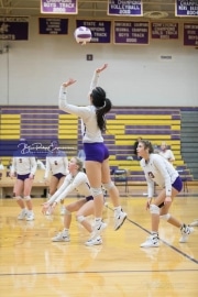 Volleyball West Henderson v North Henderson M7_BRE_1250