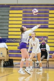 Volleyball West Henderson v North Henderson M7_BRE_1326