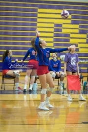Volleyball West Henderson v North Henderson M7_BRE_1338