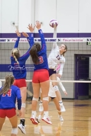 Volleyball West Henderson v North Henderson M7_BRE_1346