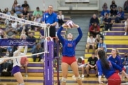 Volleyball West Henderson v North Henderson M7_BRE_1365