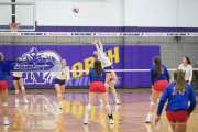 Volleyball West Henderson v North Henderson M7_BRE_1451
