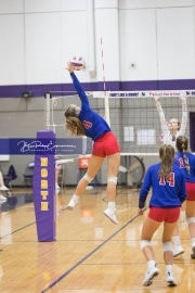 Volleyball West Henderson v North Henderson M7_BRE_1464