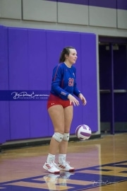 Volleyball West Henderson v North Henderson M7_BRE_1481