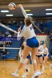 Volleyball Foard at West Henderson Rd 3_BRE_6461