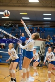 Volleyball Foard at West Henderson Rd 3_BRE_6476